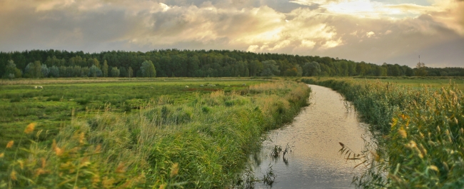 field and river